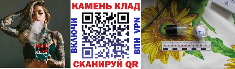 дарк нет как зайти  Фурманов  ГАШИШ Ice-O-Lator 