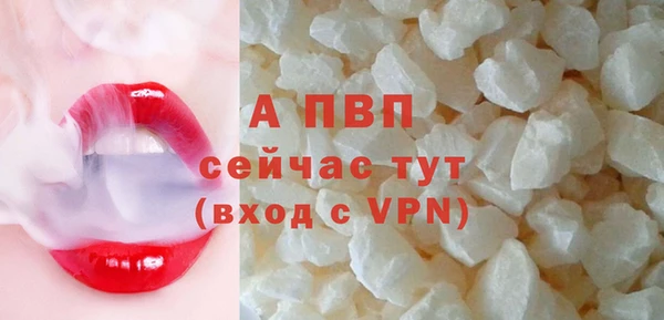 молекула духа Коряжма
