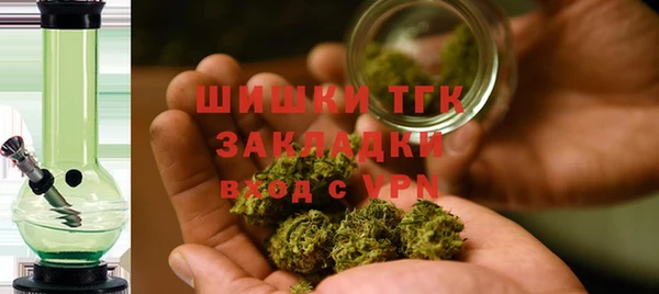 молекула духа Коряжма