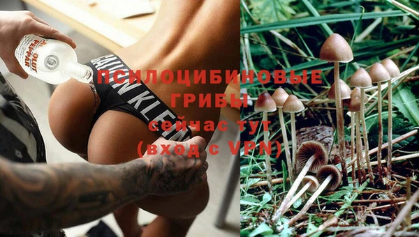 герыч Щучье