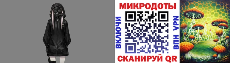 Галлюциногенные грибы Psilocybe где найти Фурманов