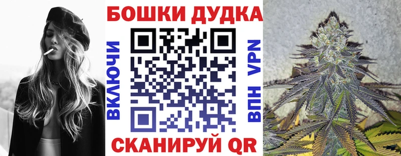купить наркоту  Фурманов  Конопля сатива 